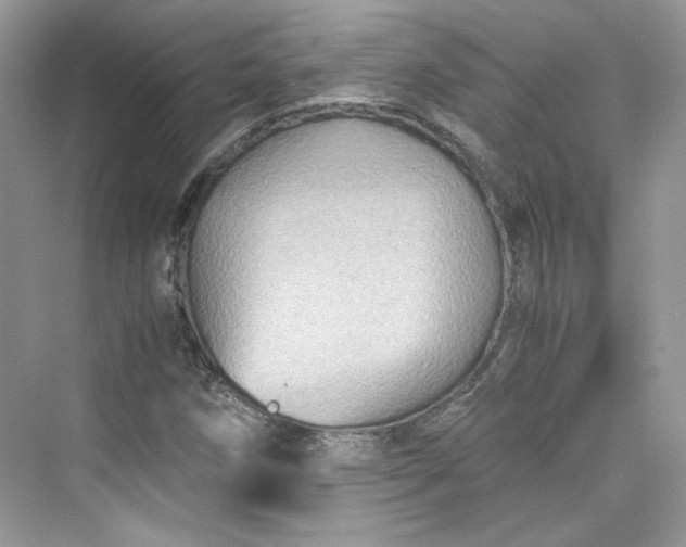 X0000075841258200609291428