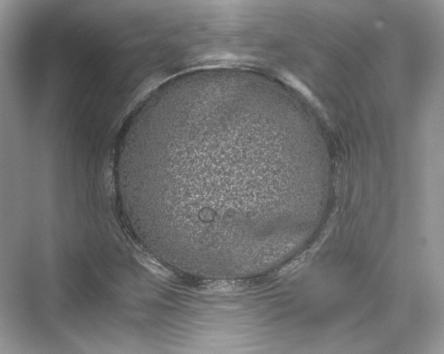 X0000075841259200609291428