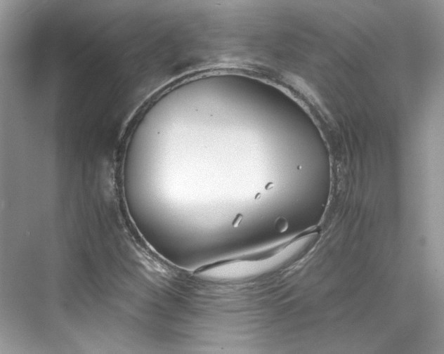 X0000075841260200609291428