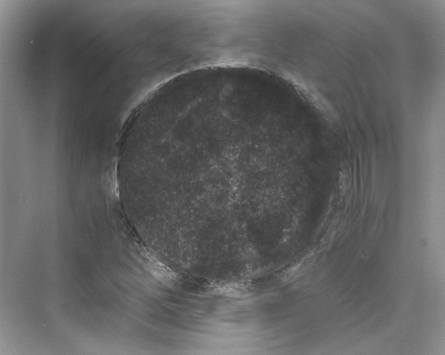 X0000075841262200609291428