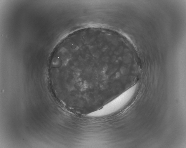 X0000075841263200609291428