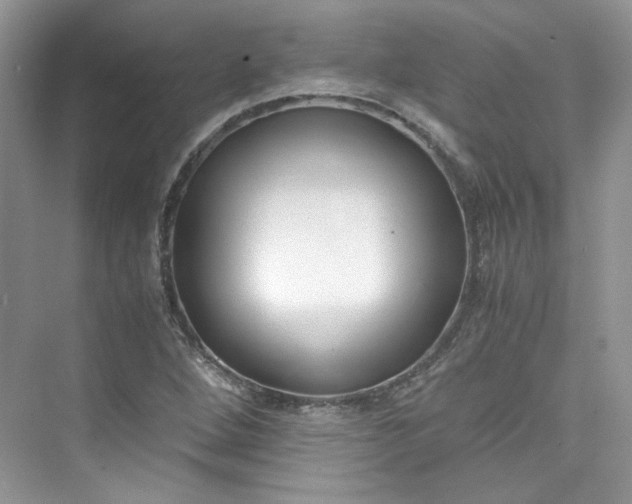 X0000075841264200609291428