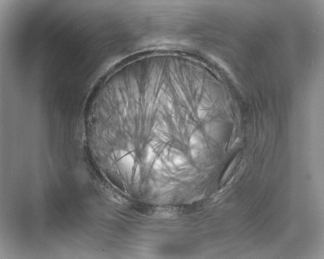 X0000075841267200609291428