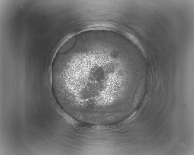 X0000075841275200609291428