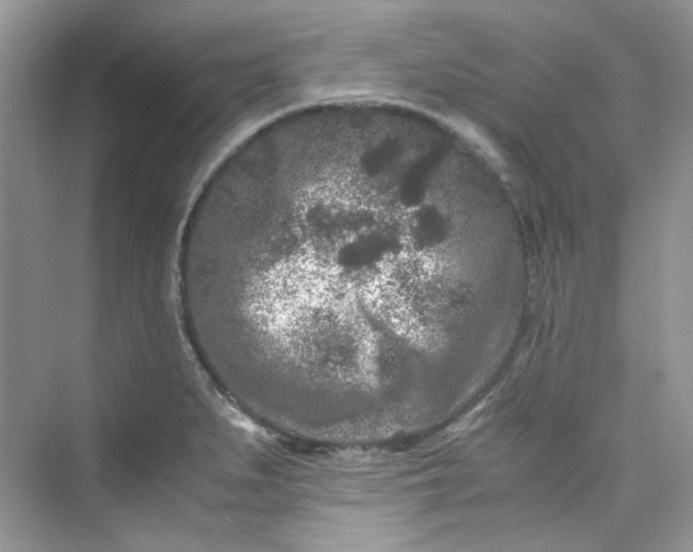 X0000075841279200609291428