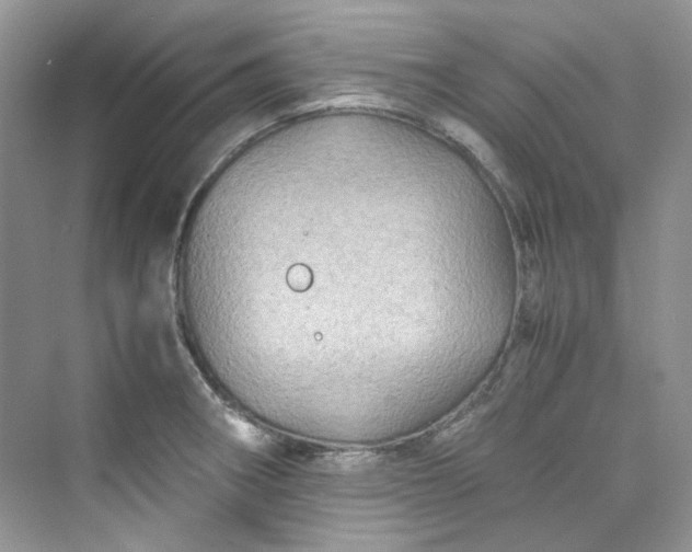 X0000075841282200609291428