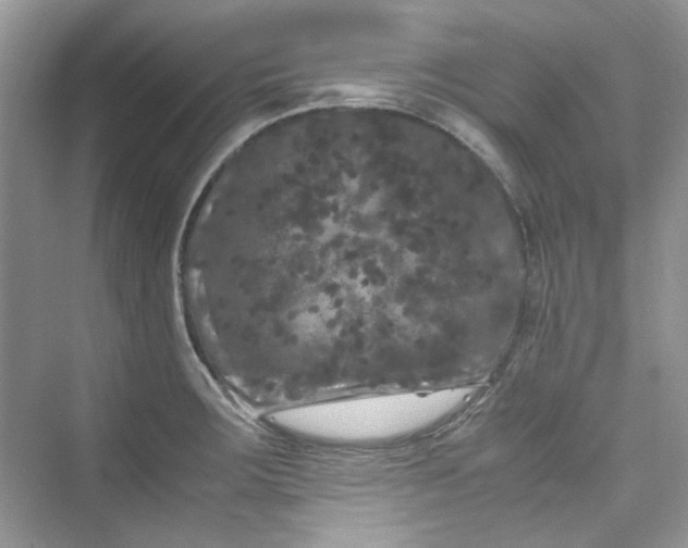 X0000075841283200609291428