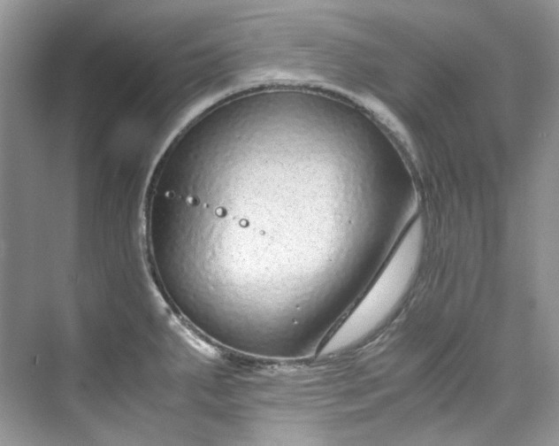 X0000075841287200609291428