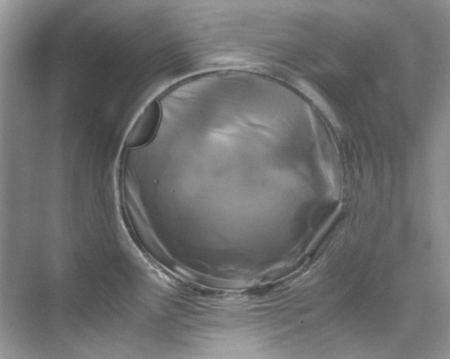 X0000075841291200609291428