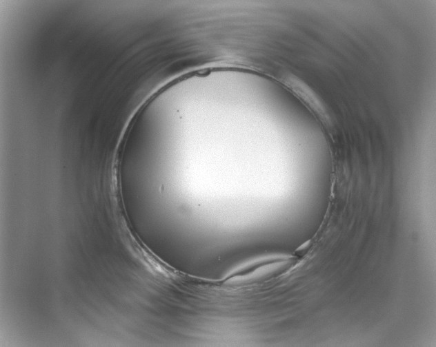 X0000075841292200609291428