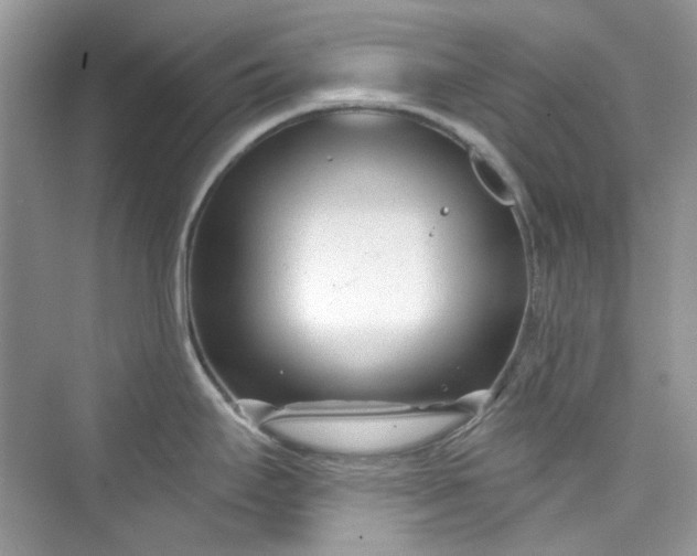 X0000075841295200609291428