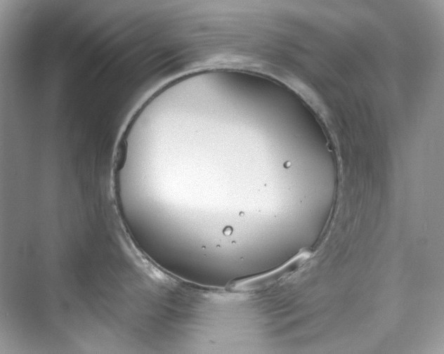 X0000075841296200609291428