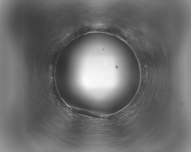 X0000075841301200609291427