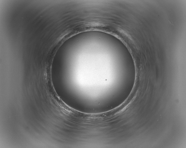 X0000075841305200609291427