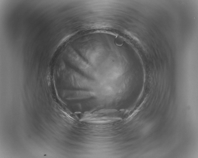 X0000075841306200609291427