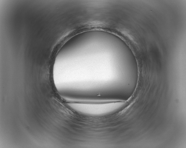 X0000075841309200609291427