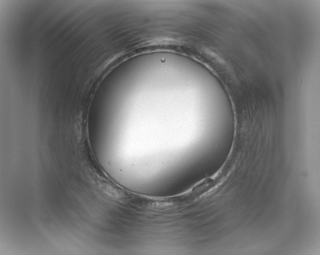 X0000075841313200609291427