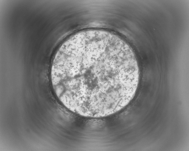 X0000075841314200609291427