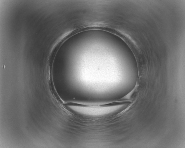 X0000075841317200609291427