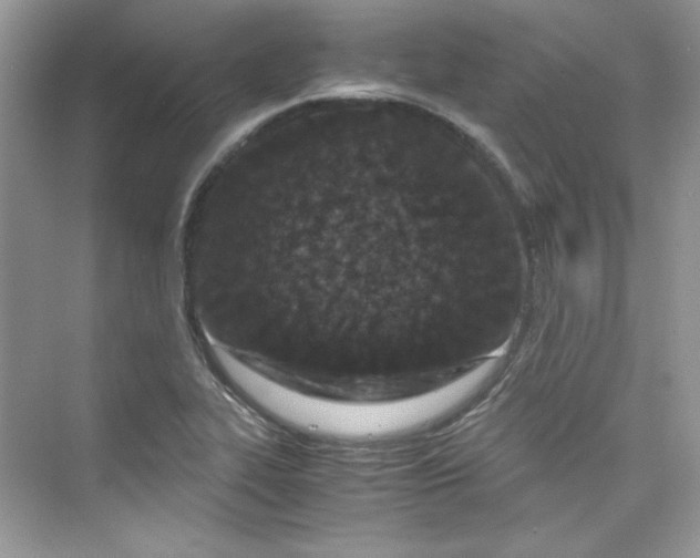 X0000075841319200609291427