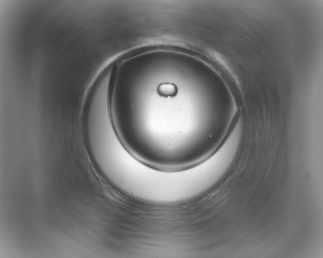 X0000075841320200609291427