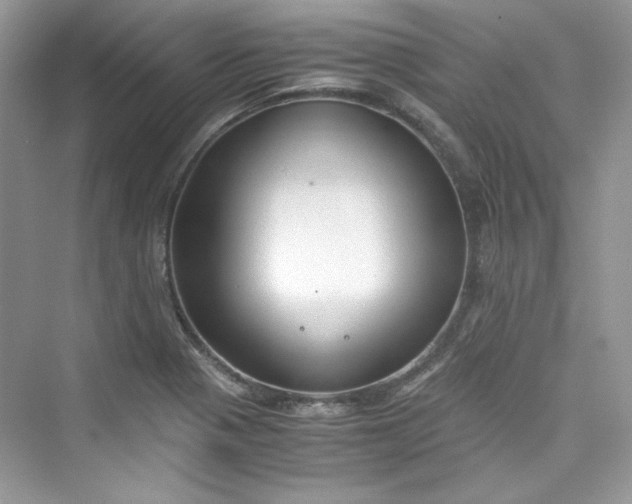 X0000075841321200609291427