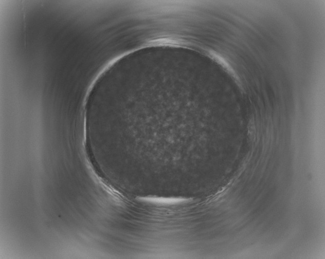 X0000075841323200609291427