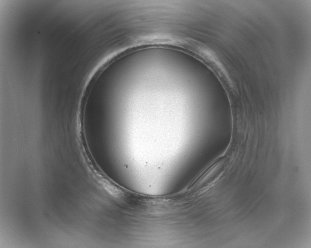 X0000075841328200609291428