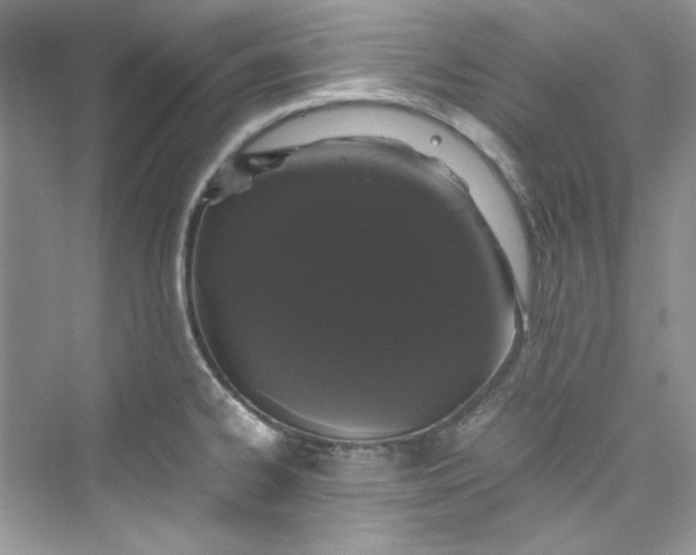 X0000075841334200609291428