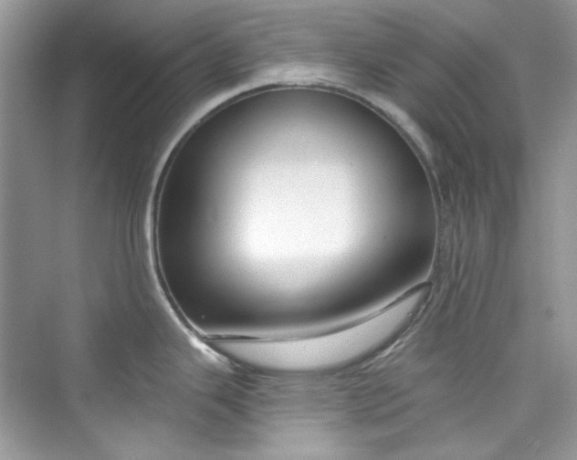 X0000075841343200609291428