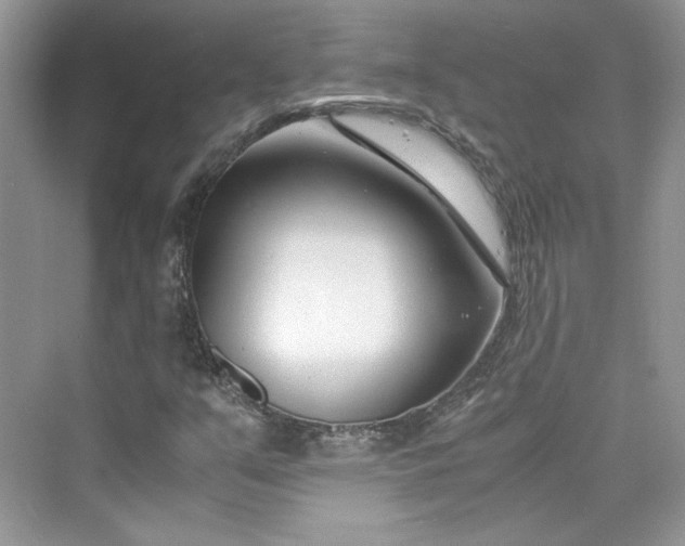 X0000075841351200609291427