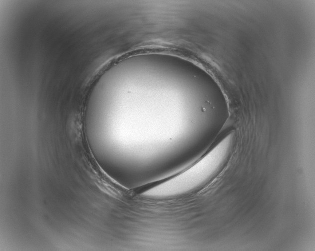 X0000075841355200609291427