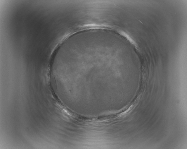 X0000075841357200609291427