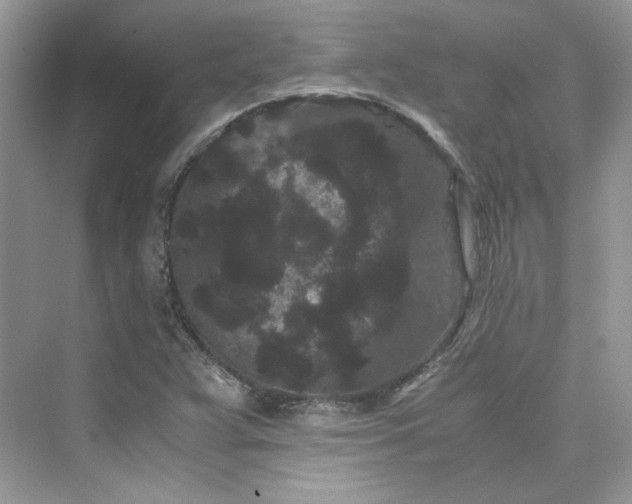 X0000075841359200609291427