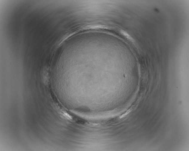 X0000075841361200609291427