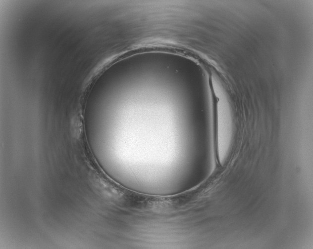 X0000075841363200609291427