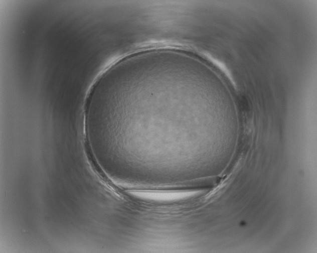 X0000075841365200609291427