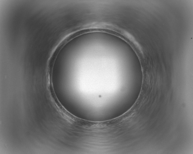 X0000075841368200609291427