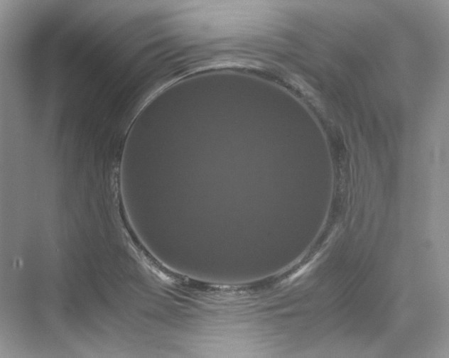 X0000075841369200609291427