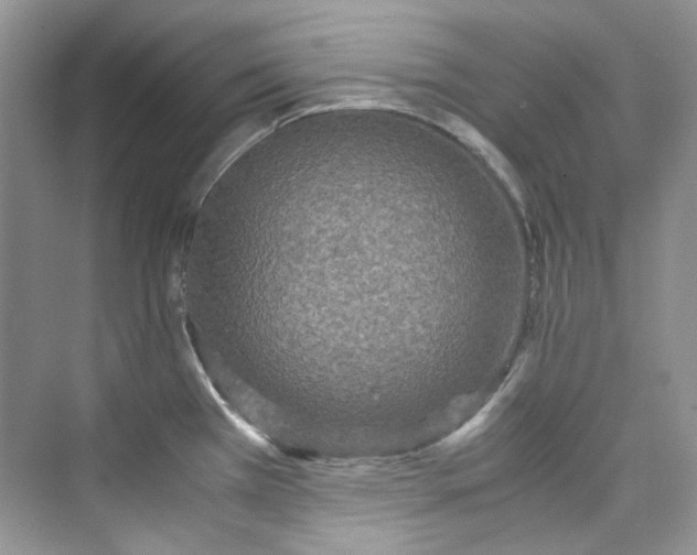 X0000075841385200609291426