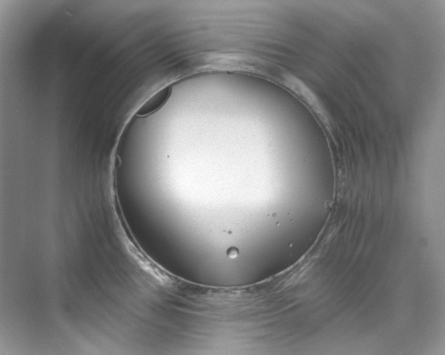 X0000075841386200609291426