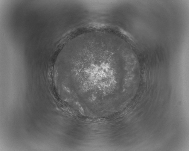 X0000075841397200609291425