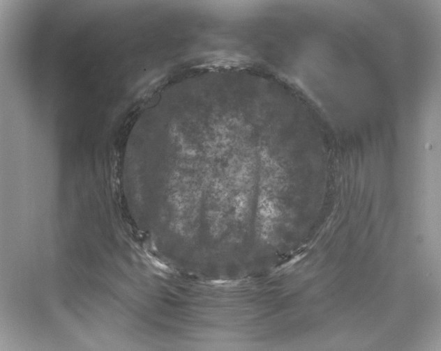 X0000075841399200609291426