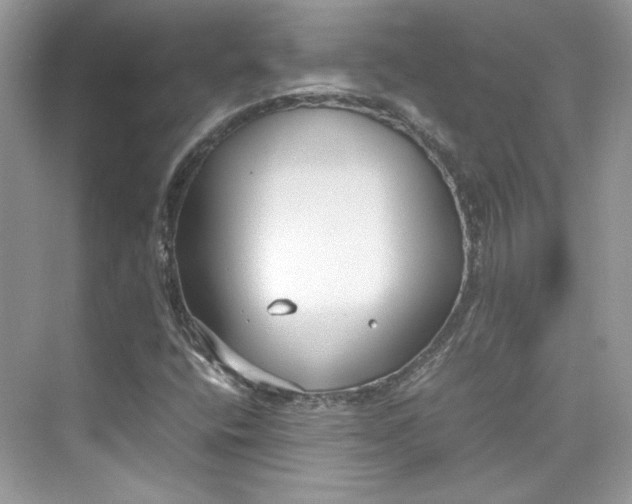 X0000075841400200609291426