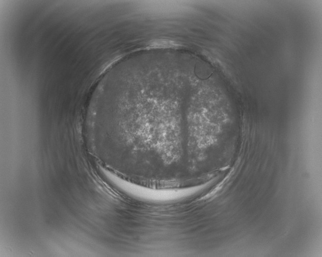 X0000075841401200609291426