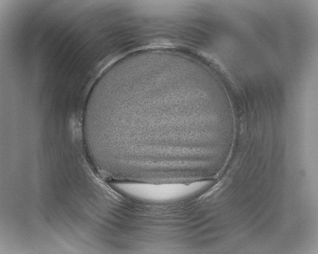 X0000075841409200609291426