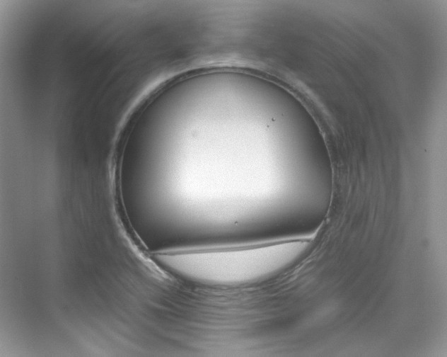 X0000075841416200609291426