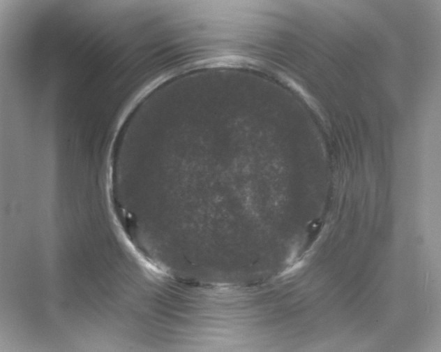 X0000075841418200609291426