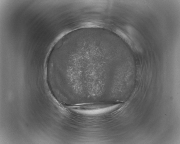 X0000075841419200609291426