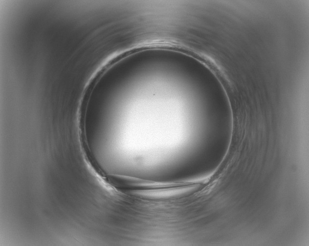 X0000075841422200609291426